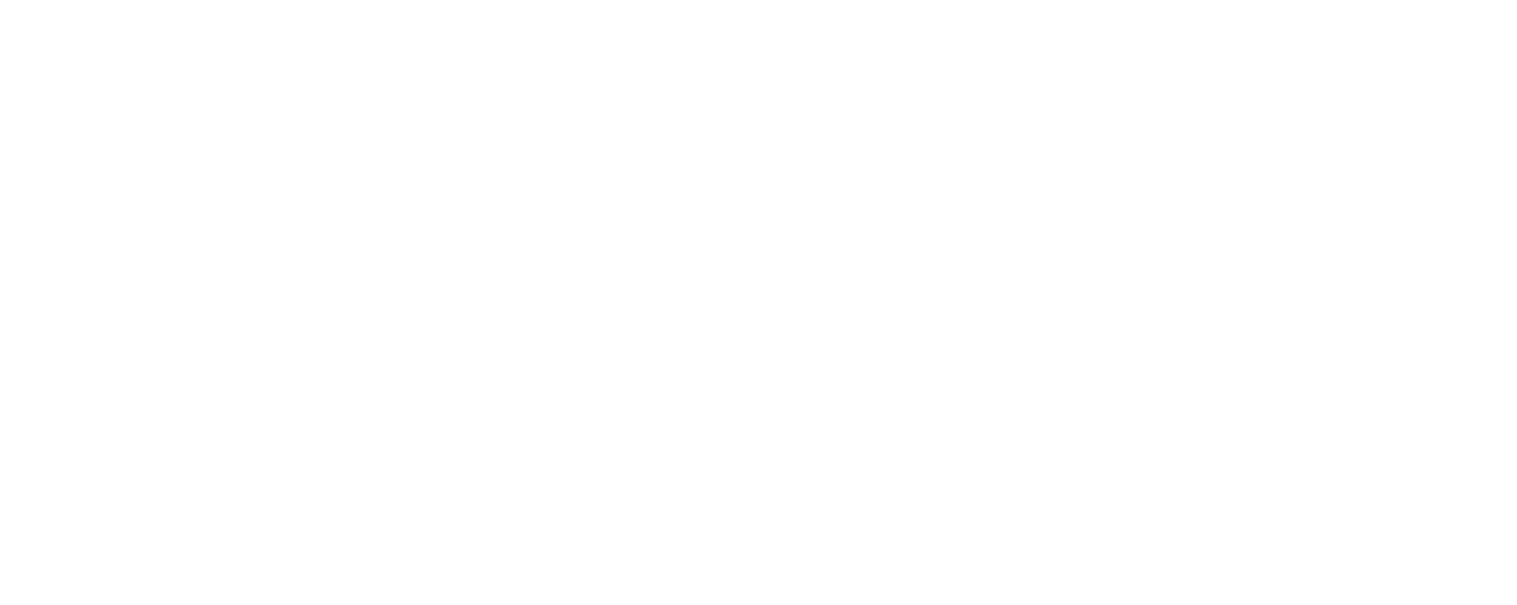 NetSpo - Santa Cruz
